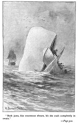 moby dick